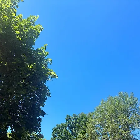 Himmelblau * Waldsieversdorf